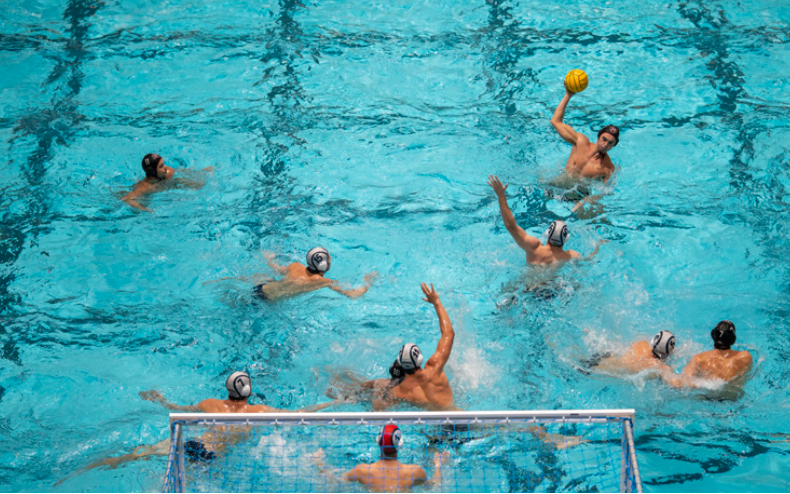 people playing water polo